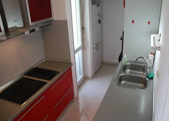 Lucius * 斯普利特